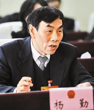 特聘顾问 | 杨勤